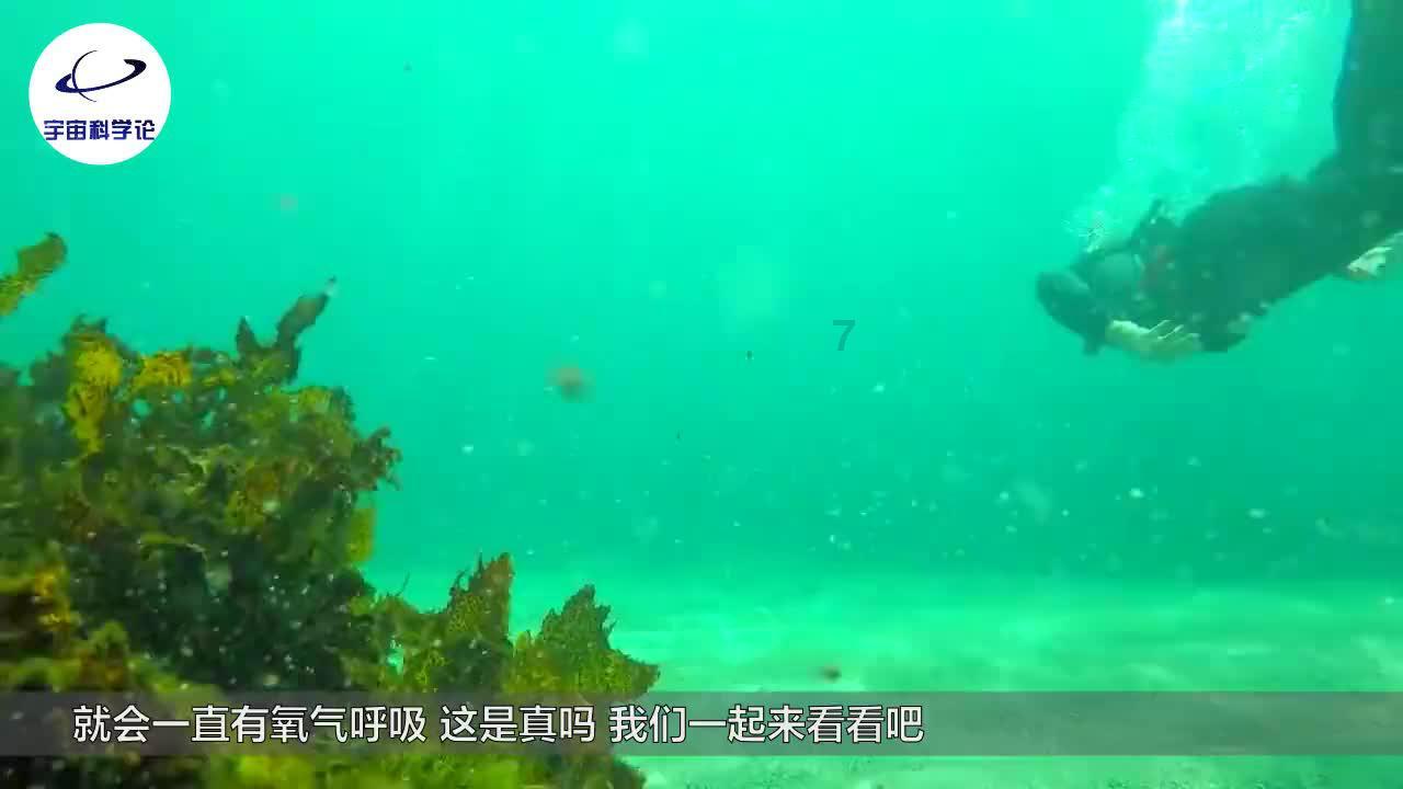 前一家公司还在实习期未离职成功,可以和新公司签合同吗?-专业问答平台,解决您的疑问